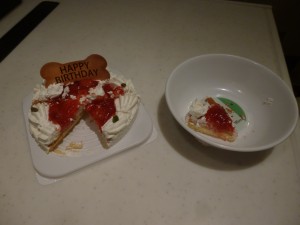 P1030192