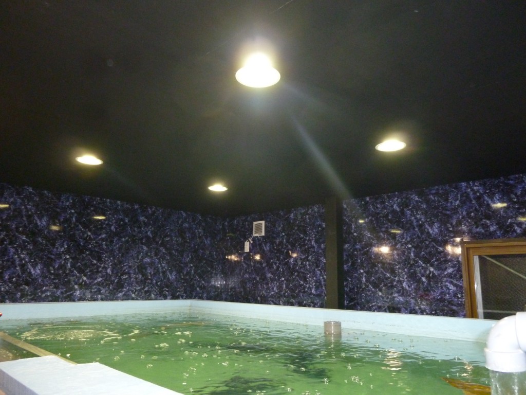 コンクリート水槽